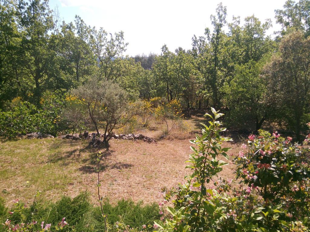 Gite Les Oliviers Cotignac Exteriör bild